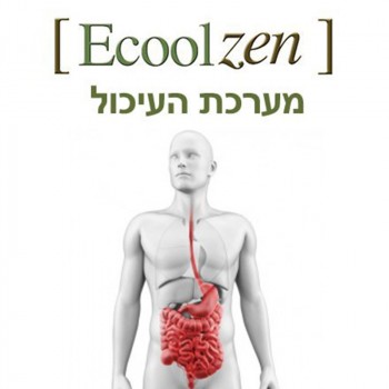 Ecool Zen 100ml שילוב צמחים מומלצים לעיכול
