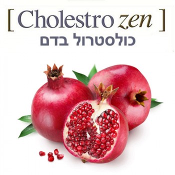 ⁨שילוב צמחים מומלצים להורדת כולסטרול⁩ Cholestro Zen 100ml