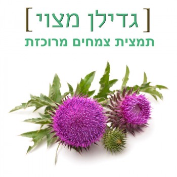 גדילן מצוי - 100 מ״ל מגן ומשקם את הכבד