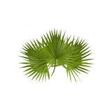 PROST ZEN 100ML – שילוב צמחים מומלצים לפרוסטטה⁩