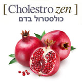 CHOLESTRO ZEN 100ML – שילוב צמחים מומלצים להורדת כולסטרול⁩