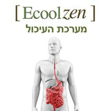ECOOL ZEN 100ML – צמחי מרפא למערכת העיכול