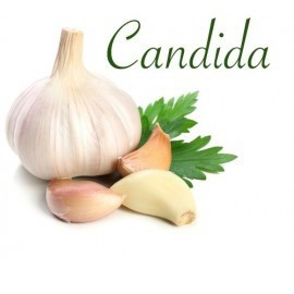 candida.jpg